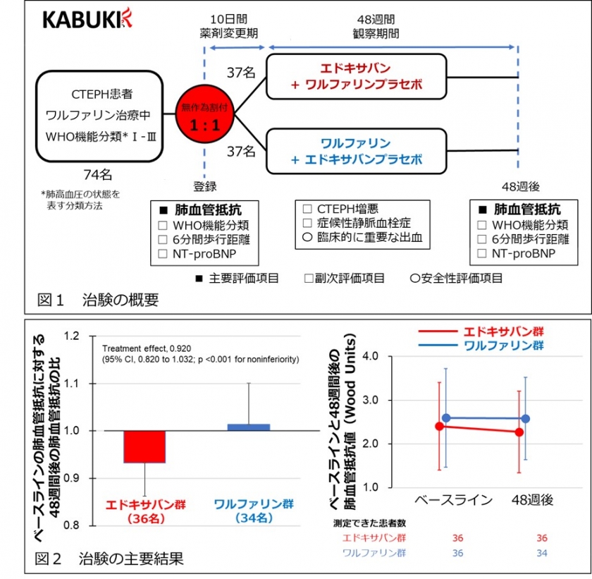 北海道心臓協会